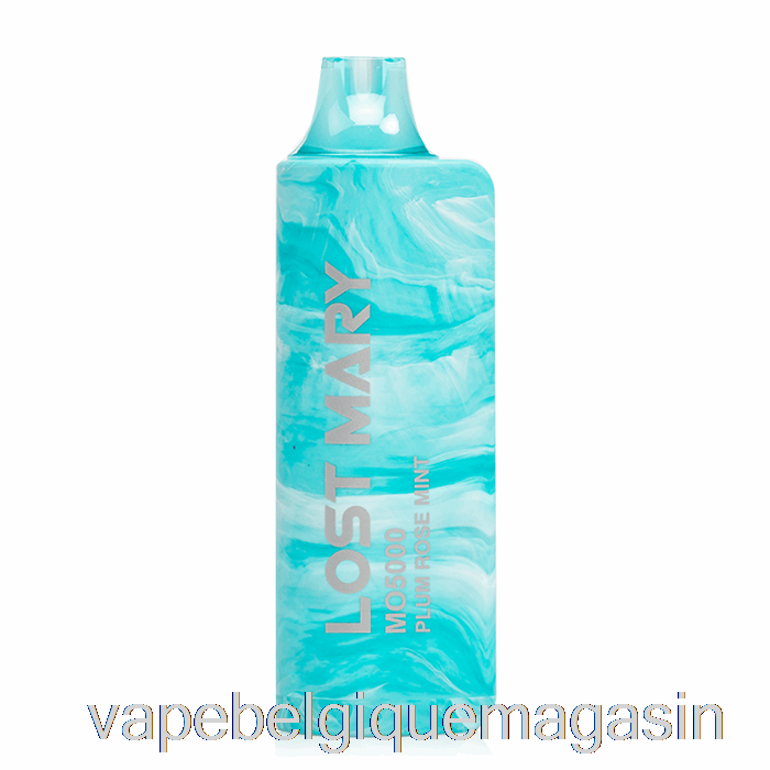 Vape Jetable Perdu Mary Mo5000 Jetable Prune Rose Menthe